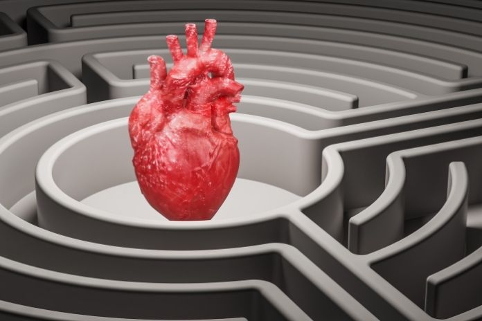 What Increases the Risk of Heart Disease in Women