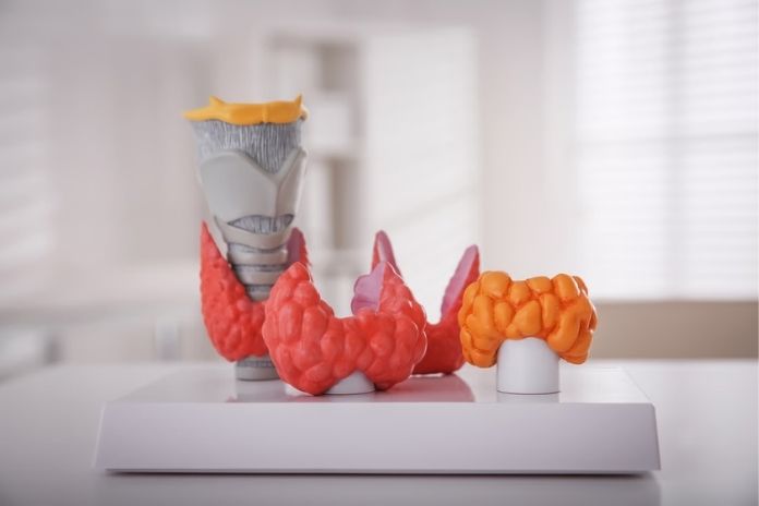 What Is Hypothyroidism