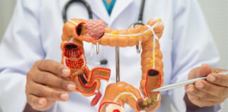 What Is the Colon and What Does It Actually Do? What Is the Colon and What Does It Actually Do