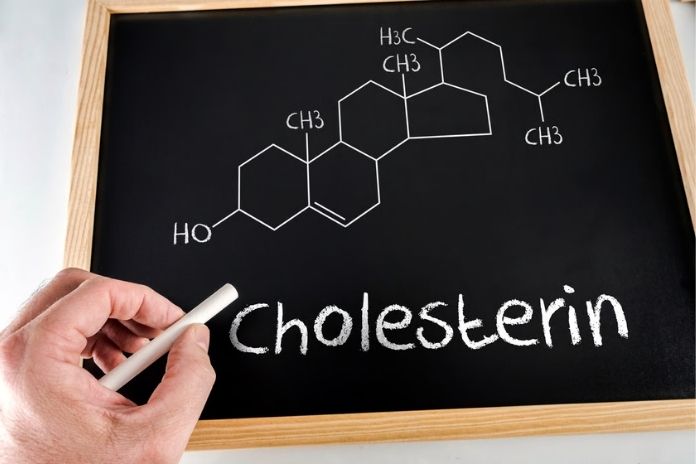 What a Cholesterol Test Actually Measures