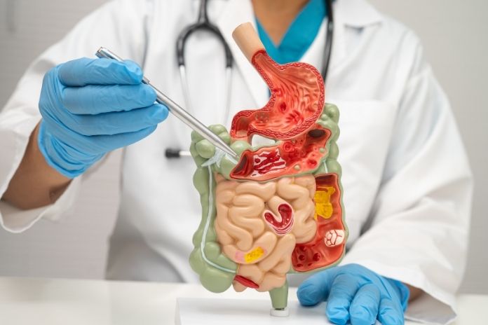When Digestive Symptoms May Need Medical Evaluation