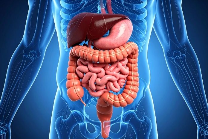When Digestive Symptoms Should Be Evaluated