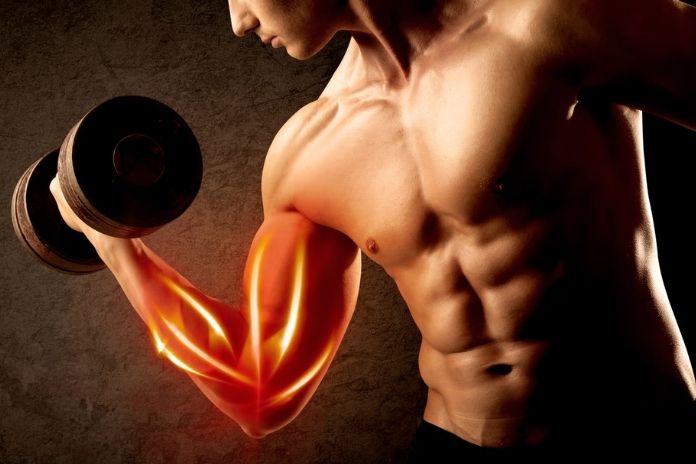 Why They Work Well Together The Complementary Mechanism