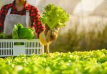 Cyclospora Outbreak Tops 11,500 Cases Across 41 States: Here’s What You Need to Know Cyclospora Outbreak Tops 11500 Cases Across 41 States