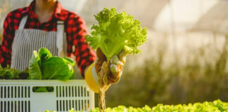 Cyclospora Outbreak Tops 11,500 Cases Across 41 States: Here’s What You Need to Know Cyclospora Outbreak Tops 11500 Cases Across 41 States