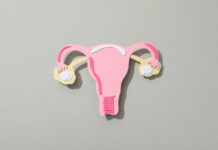 Hormone Replacement Therapy (HRT) for Menopause: Benefits, Risks, and Who It’s For Hormone Replacement Therapy HRT for Menopause