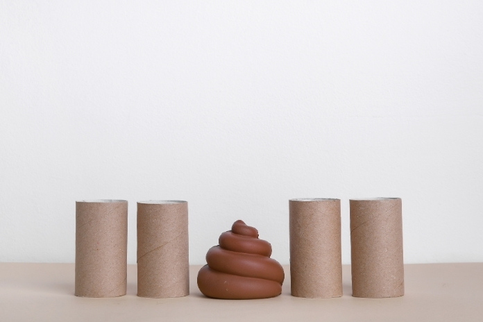 What Does a Healthy Poop Actually Look Like What Does a Healthy Poop Actually Look Like